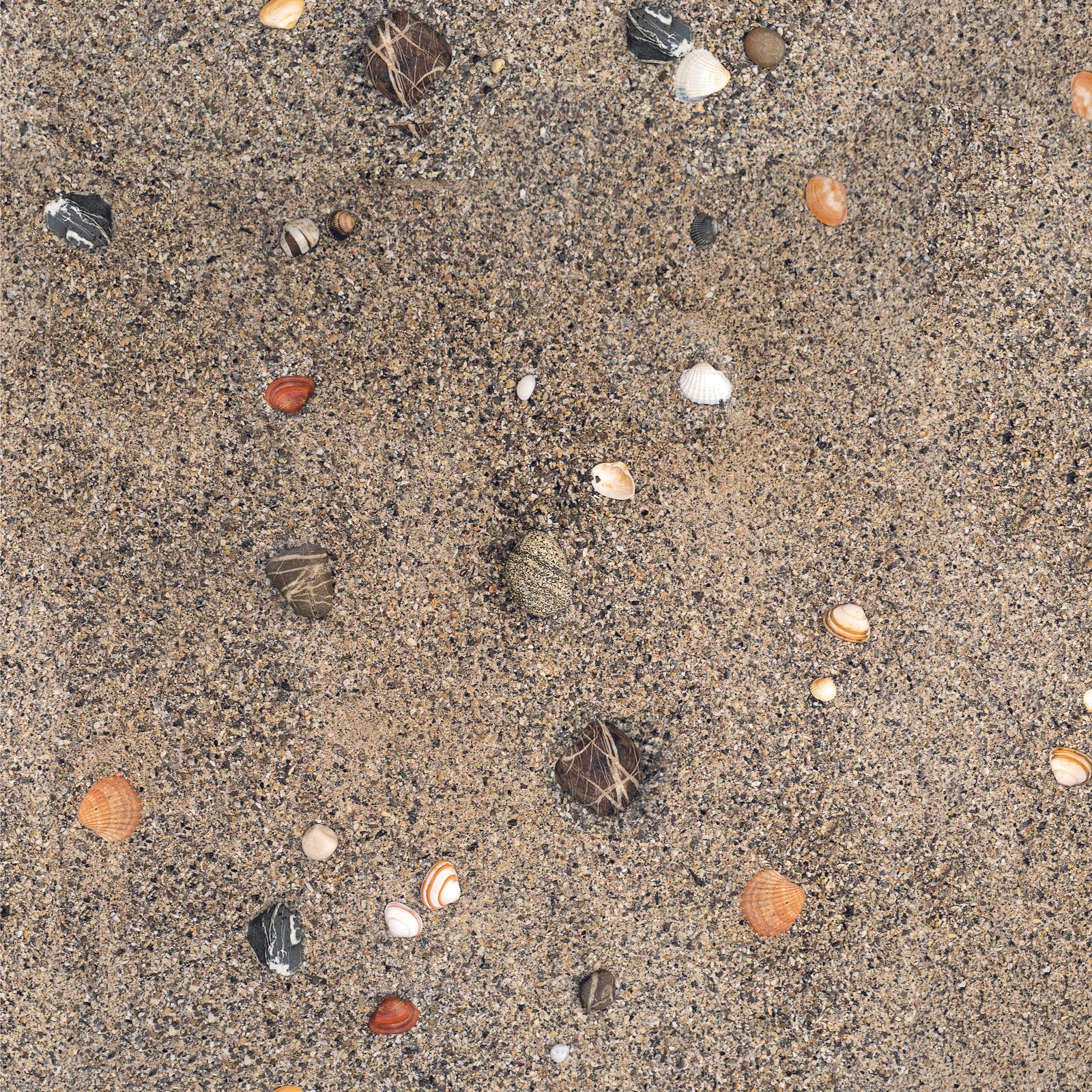 Sand and shells